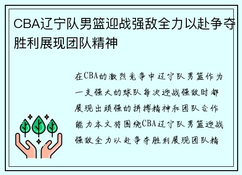 CBA辽宁队男篮迎战强敌全力以赴争夺胜利展现团队精神